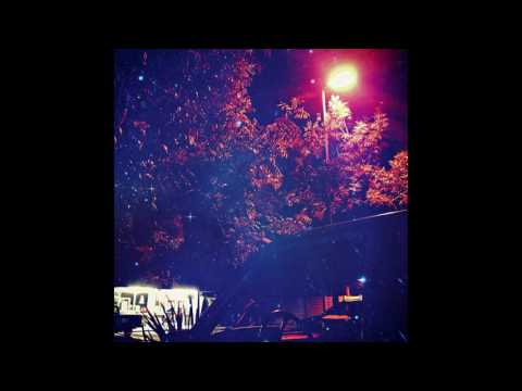 ShamanatriX - T H E  H I D D E N  H A N D  T H A T  G U I D E S  U S