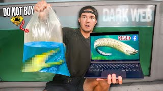 BUYING LIVE MORAY EEL OFF Facebook Marketplace!