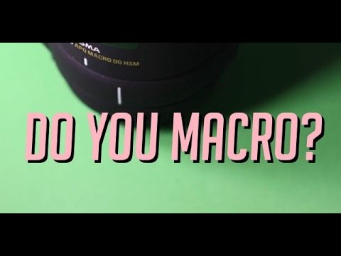 Sigma 150mm 2.8 Macro Lens