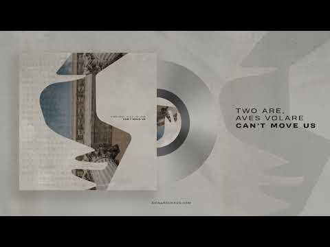 Two Are, Aves Volare - Can t Move Us (Original Mix)