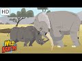 Wild Kratts Elephants Rhinos And Hippos Powerful Pachyderms Full Episodes