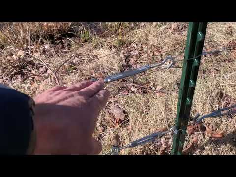 Safely Stopping the Geese from Roosting by the Retention Pond in New Brunswick, NJ