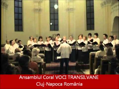 16  CIMPOIEREASA   Gheorghe Danga