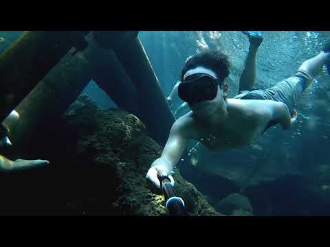 FREEDIVE!!!! ( UMBULAN & BANYU BIRU, PASURUAN )