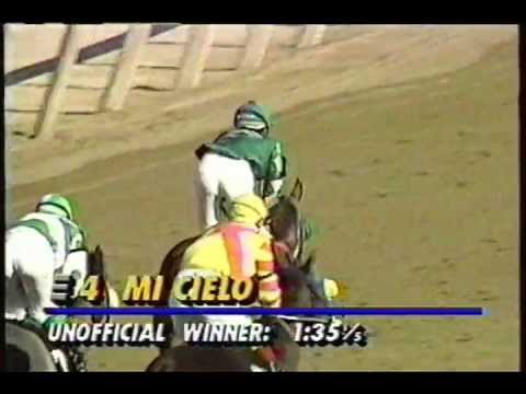 1993 Grade 2 Jamaica Handicap at Belmont Park: Mi Cielo
