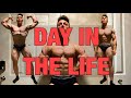 A DAY IN THE LIFE OF A NATURAL PRO BODYBUILDER | WILDE SHREDDING EP. 5