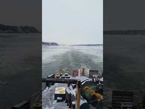 20171218 142053 bulk carrier