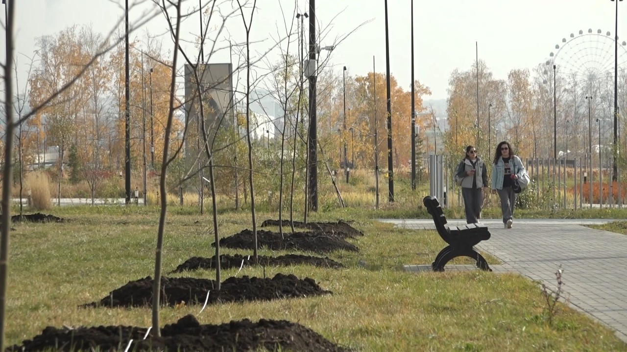 Время местное. Эфир: 19-10-2026 - Озеленение города