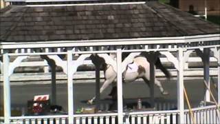 Broadway's Puzzle Piece at St Christopher's Benefit Horse Show 2013 Pony Jumper 2nd trip