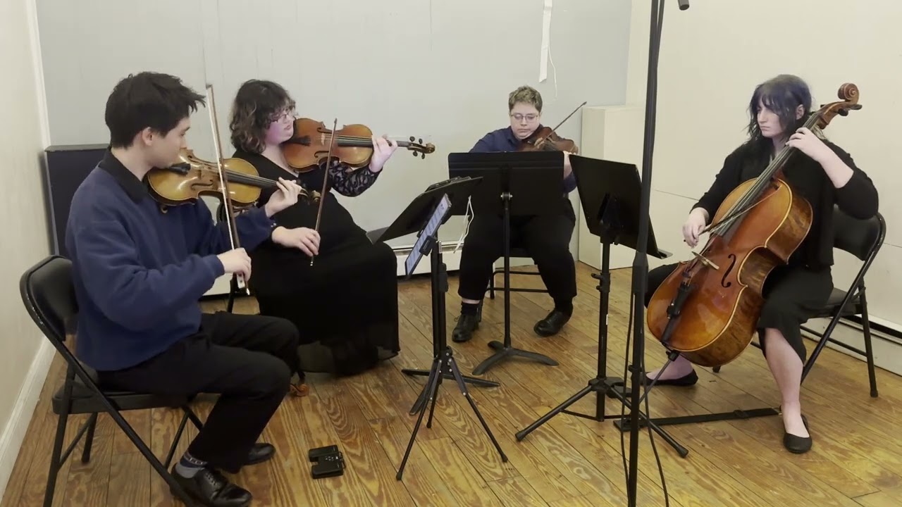 Promotional video thumbnail 2 for High Country Quartet