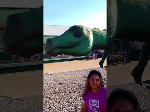 Dinossauros Apareceram na Viagem pra Guia Lopes da Laguna MS