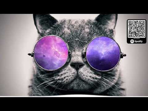 MÚSICA ELETRÔNICA 2022  SÓ TRACK BOA   Mais Tocadas   Alok, Vintage Culture, Dubdogz & David Guet