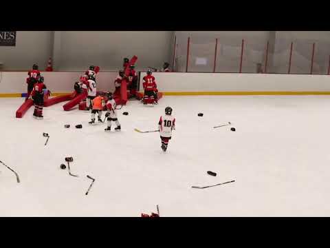 2021. 03. 20. Érdi Jégcsarnok Kárpáti Farkasok U10 KÉK