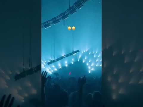 This drop from Hedex 😮 #dnb #festival #drumandbass