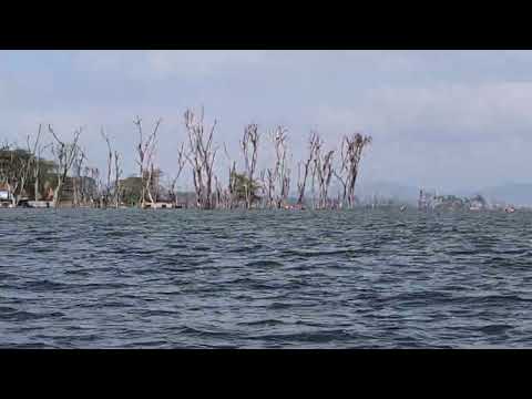 This trip to Kenya was from July 30 to Aug 10, 2024 - Dilip K. Som and Gurjeet Singh