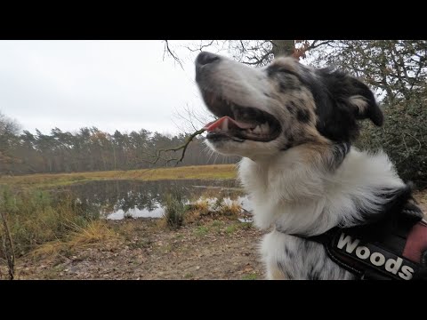 W 2 Km De Watersnip 2 Koersel Wandelen Limburg