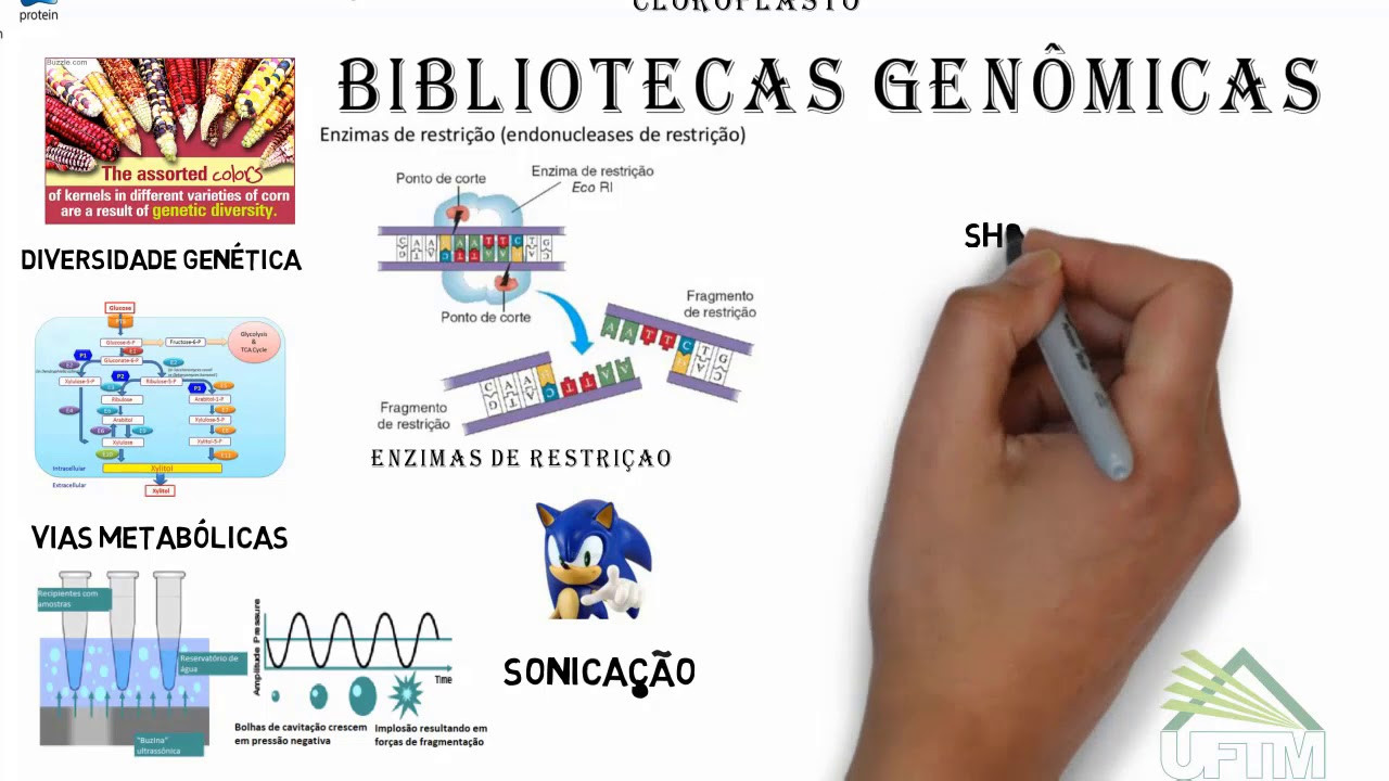 Aula 2.1 - Sequenciamento Genômico - Bibliotecas Genômicas