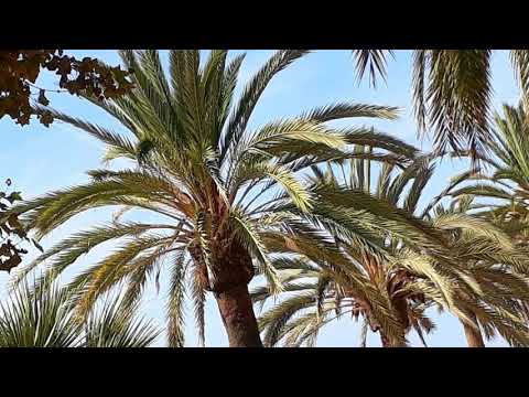 Calella september 2017