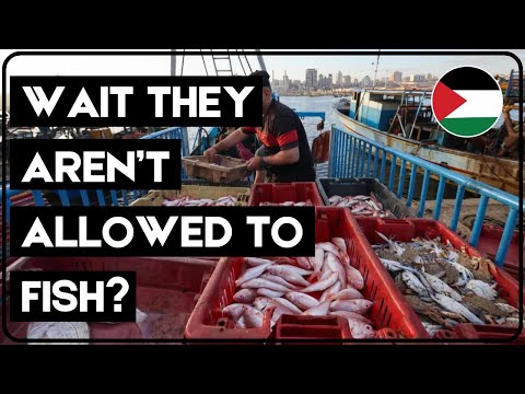 SUMUD Flotilla leads to FISH FOR GAZA | Geopolitical Analysis