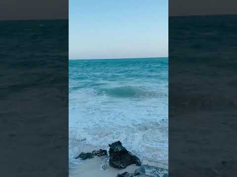 High Tide at Nungwi Beach in Zanzibar #Shorts