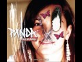 PXNDX - Reflexiones De Una Mente Perturbadora