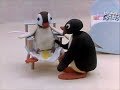 Pingu English New Episodes 33
