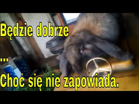 Niedzielny obchód, ocena sytuacji krajowej i teorie spiskowe.