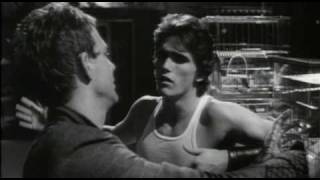 Siyam Balığı ( Rumble Fish )