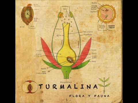 05- VIENTO - Turmalina
