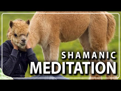 Shamanic Healing Drums Meditation to Connect with the Spiritual Dimension