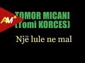 Tomor Micani (Tomi Korces) - Nje Lule Ne Mal