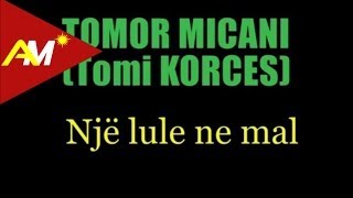 Tomor Micani (Tomi Korces) - Nje Lule Ne Mal