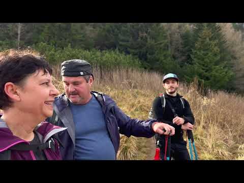 On Take Ionescu towards Mălăiești