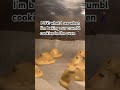 POV Baking Our Crumbl Cookies Crumblcookies Crumblecookies Shorts Trendingshorts