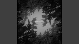 Old Sea Brigade - Love Brought Weight