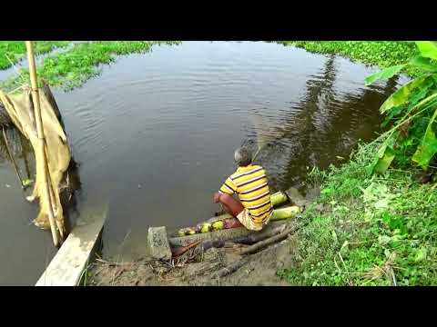 Most Satisfying Cast Net Fishing Video Catch best of Fish - Traditional Net Catch Fishing on village