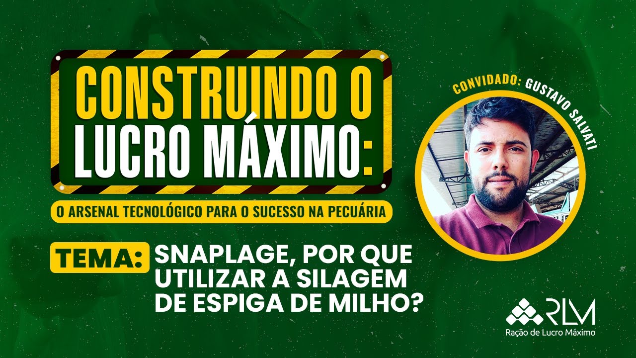 SNAPLAGE: Por que utilizar a silagem de espiga de milho?