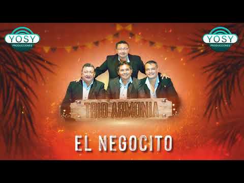 El negocito - Trio Armonia
