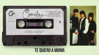 12. Te quiero a morir - Lágrimas de amor (Álbum)