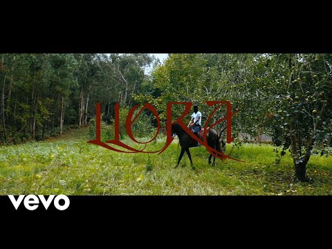 María Sánchez - Llora