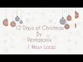 12 Days Of Christmas By Pentatonix 1 Hour Loop 12 Days Of Christmas
