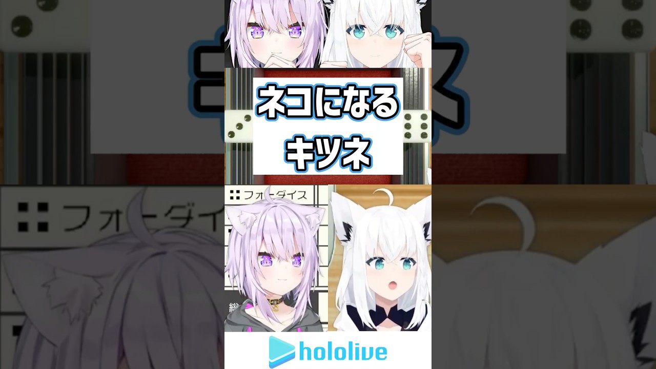 ネコになるキツネ【白上フブキ/猫又おかゆ/ホロライブ切り抜き】#shorts