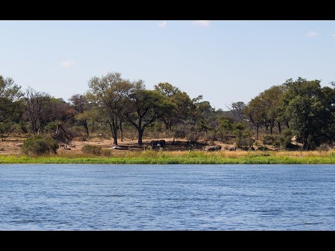 Boat Cruise in the Caprivi