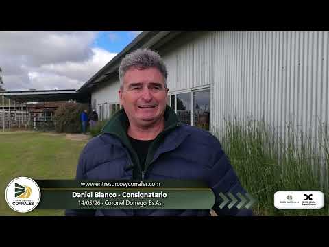 14-05-26 - Daniel Blanco - Consignatario - Coronel Dorrego, Bs.As.