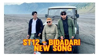Download lagu ST12 - Bidadari (NEW SONG) mp3