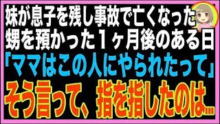 【スカッと】仲良しの妹が事故で息子を残して亡くなった→1ヶ月後、甥「みんな事故に巻き込まれるよ?