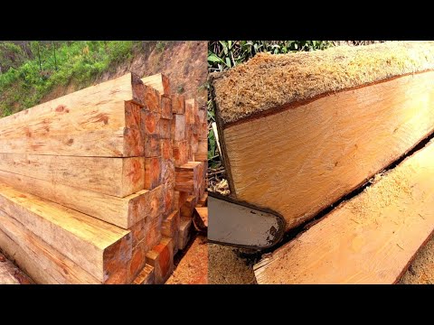Cutting logs into lumber with Chainsaw|| The Naga way
