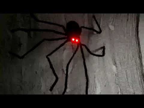 einfach cool, BESTOMZ Halloween Spinne 125cm Mit LED Roten Augen Halloween Deko