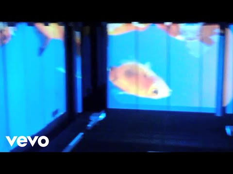 Akil Wingate - RockNSoul Army Vlog 4