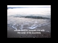 e.e.cummings - somewhere i have never ...